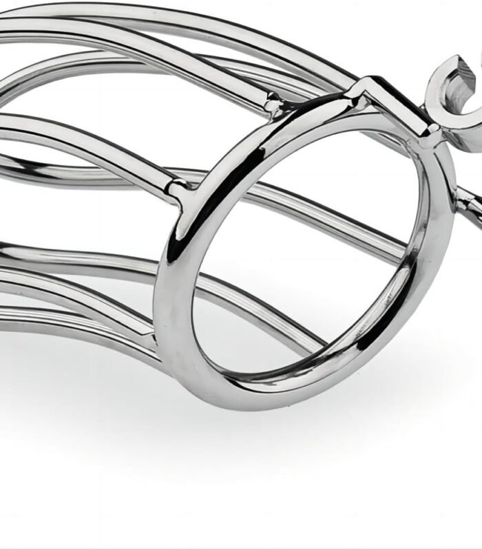 Male Chastity Cage with Invisible Locks Metal